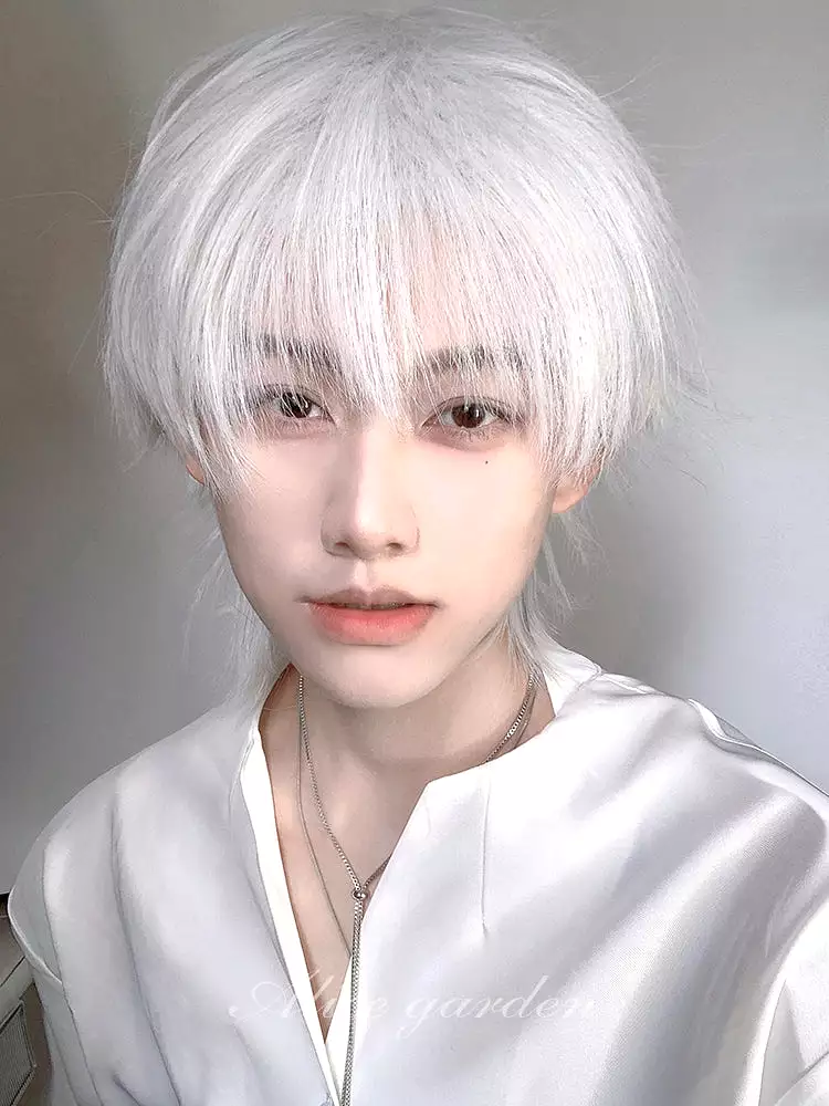 Casual Series Short White Ikemen Wig ON997