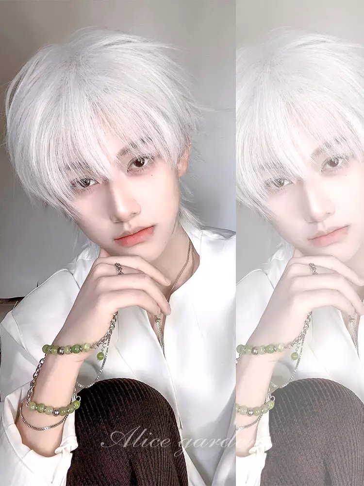 Casual Series Short White Ikemen Wig ON997