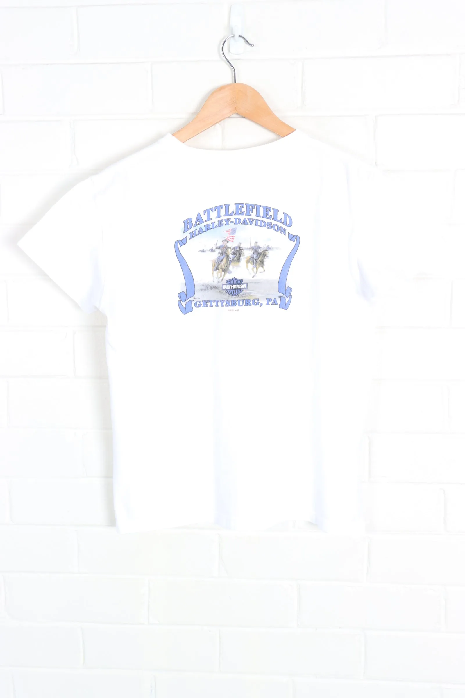 HARLEY DAVIDSON Battlefield Horses Battle Graphic Tee (S)