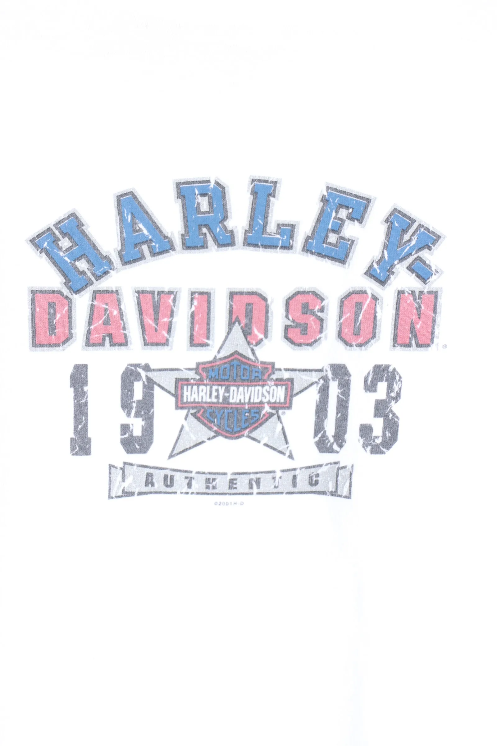 HARLEY DAVIDSON Battlefield Horses Battle Graphic Tee (S)