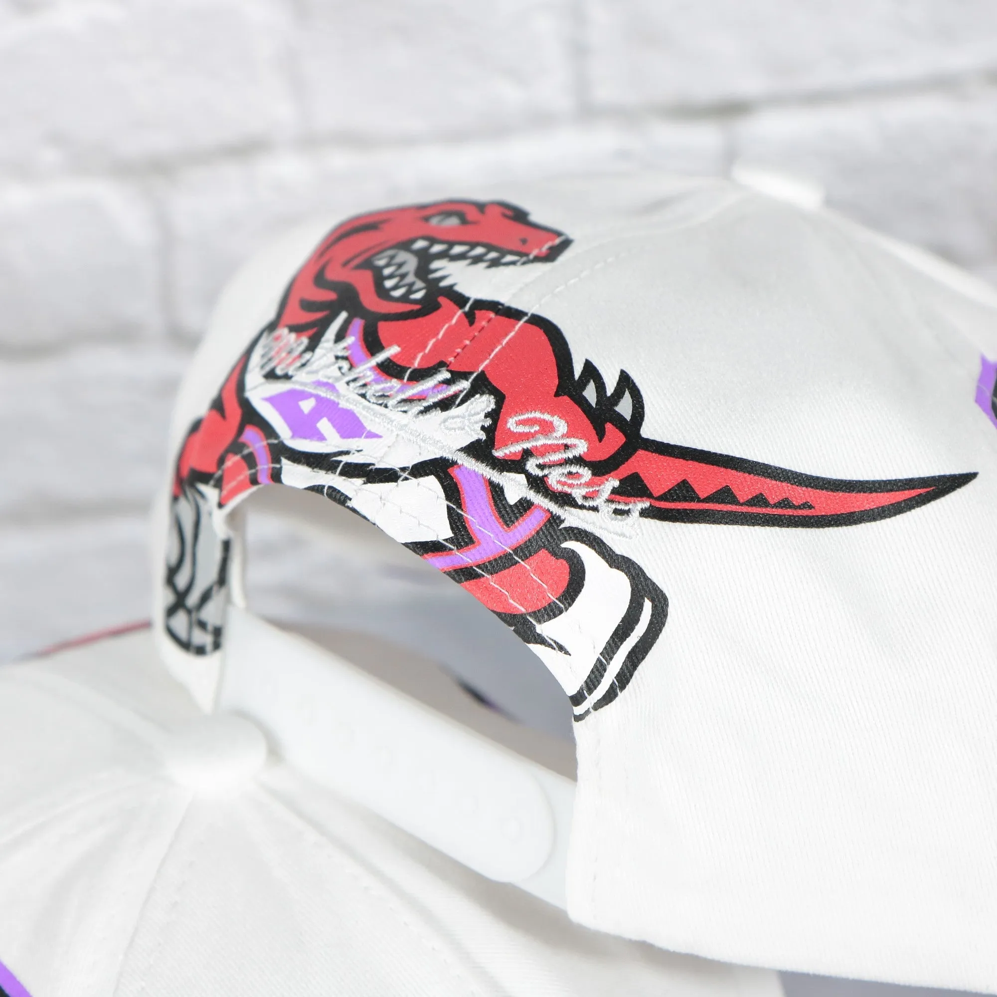 Toronto Raptors Hardwood Classics In Your Face Deadstock Purple bottom | White Snapback Hat